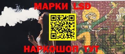 индика Обь