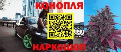 индика Обь