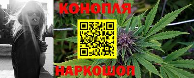 индика Обь