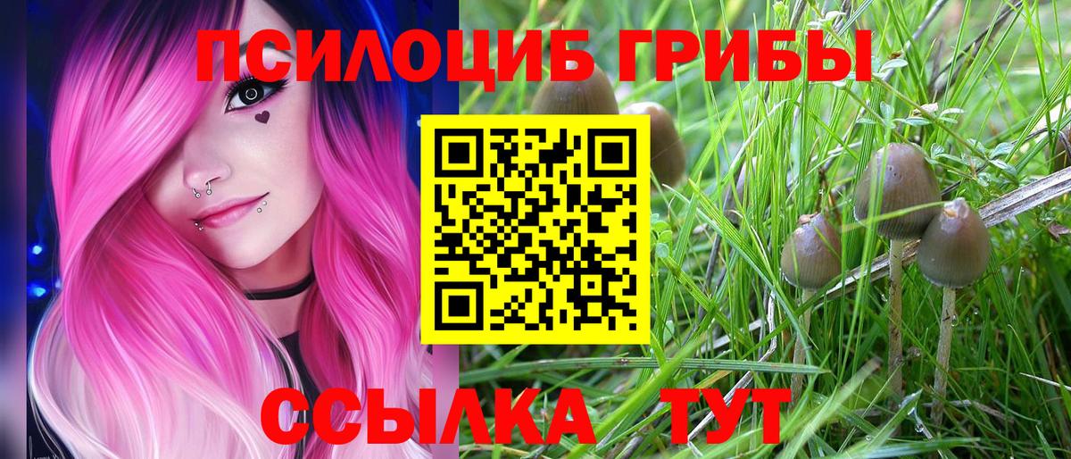 Псилоцибиновые грибы ЛСД  Вход с VPN  Новокуйбышевск 